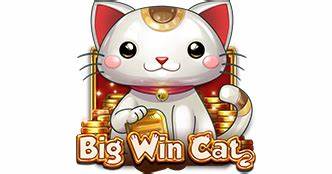 Big win cat